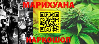 мдпв Гусев